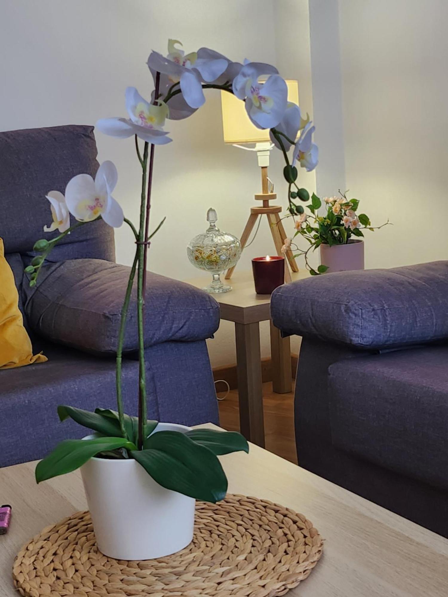 Appartement Casa Gara Isabel à Arrecife  Extérieur photo